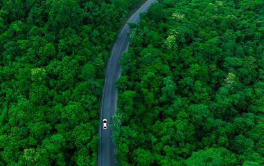 Wall Mural - Aerial view of dark green forest road and white electric car Natural landscape and elevated roads Adventure travel and transportation and environmental protection concept	