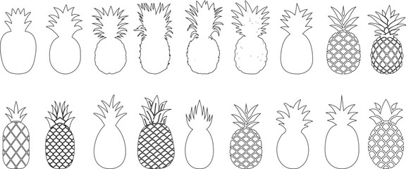 Wall Mural - pineapple outline vector illustration, tropical fruit line art in various style