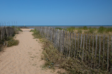 Wall Mural - Beach pathway access on sand fence access sea in ocean atlantic in France