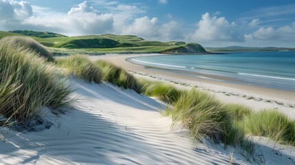 Sticker - Sandy beach dunes under the bright sun their img