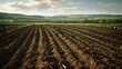 © Yelena - The soil is large cultivated ready for sowing