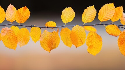 Canvas Print - Autumn Leaves Branch