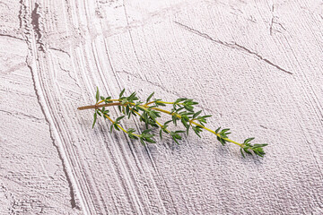 Poster - Aroma seasoning thyme stem with leaves