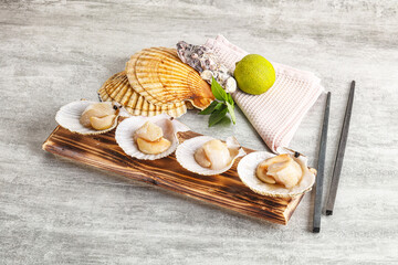 Wall Mural - Raw natural scallop in its shell