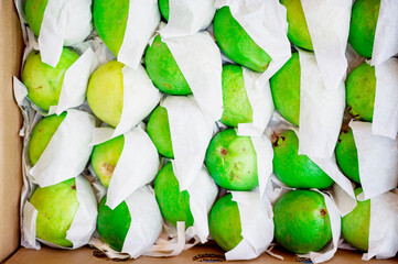 Fresh limes in a box.