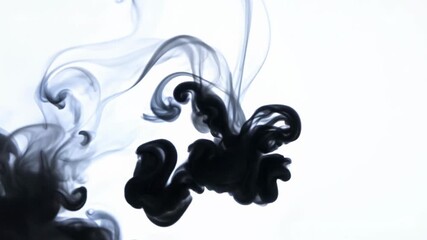 Canvas Print - A black smoke trail with a white background. The smoke is swirling and curving, creating a sense of movement and energy. The black smoke contrasts with the white background