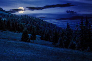 Wall Mural - mountain landscape at night. meadow on hill side with coniferous forest. wonderful countryside scene