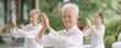 © Intelligent Horizons - Group of elderly people engaging in the ancient Chinese practice of Tai Chi in a serene park setting with their fluid graceful movements captured against a deep blurred background for a tranquil