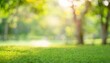 © Artbi - Blurred soft green nature in park with sunlight shining background and beautiful bokeh for design as template and ads concept