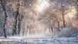© Elmira - A tranquil winter wonderland features snow-blanketed trees as soft snowflakes gracefully descend from the sky, creating a peaceful atmosphere