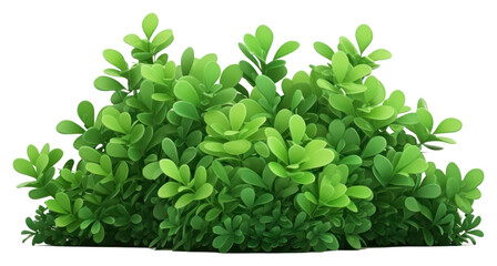 Wall Mural - PNG Green plant shrub herbs.