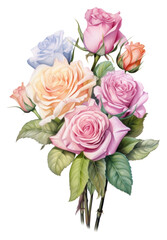 Wall Mural - PNG Rose bouquet flower plant white background.