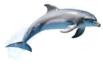 Canvas Print - PNG Dolphin jumping animal mammal fish.