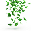banner featuring flying leaves in a vibrant, electric green on white