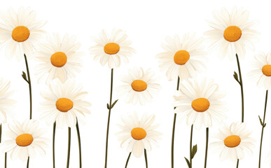 Poster - PNG Daisy backgrounds wallpaper flower.