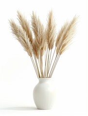 Dry pampas grass plant in vase, isolated on white background, minimalist clean design decoration