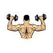 © Erwin Setiawann - a man shows off his strong arms and back muscles lifting dumbbells vector illustration