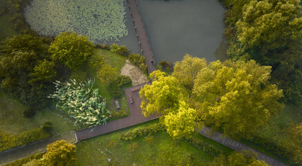 Wall Mural - Aerial and top angle view of trail and wood deck with trees and pond in summer at Incheon Grand Park near Incheon, South Korea
