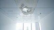 © Paul - A modern office ceiling with water stains and mold forming due to a leaking pipe, emphasizing the decay in a clean environment