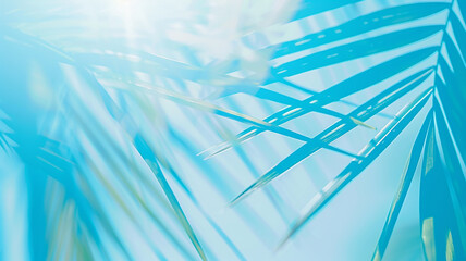 Wall Mural - light blue background palm leaves and copy space, summer backdrop