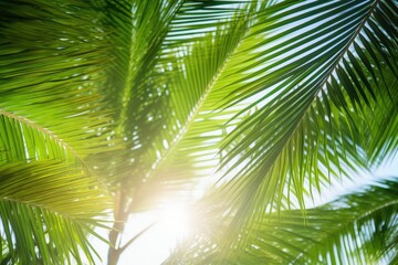 Wall Mural - Sunlight Through Palm Tree Leaves