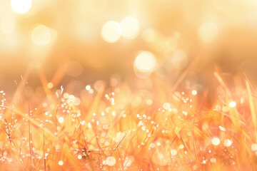 Wall Mural - Beautiful sunny autumn meadow with grass and defocused lights. Abstract background with light bokeh and space for text.	