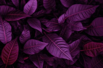 Poster - Purple Leaves Background