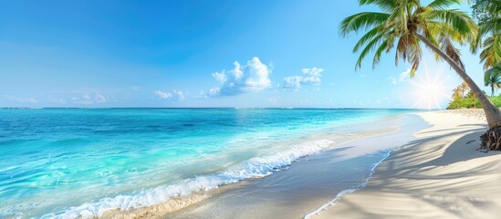 Poster - Stunning tropical beach with crystal clear ocean waters in the background ideal for a copy space image