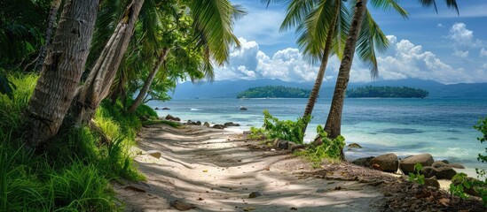 Poster - A path leading to the beach lined with coconut trees rocks and trees perfect for a copy space image