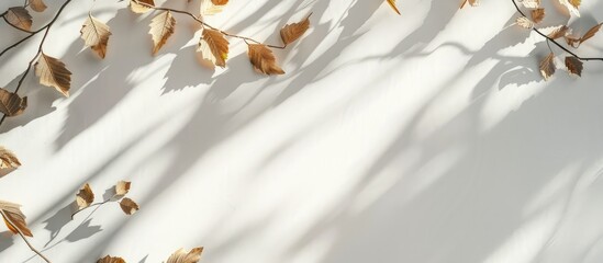 Aufkleber - Flat lay mockup featuring branches and leaves for a letter or wedding invitation capturing natural light and shadows creating a visually appealing copy space image