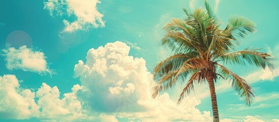 Poster - Tropical beach scene with a palm tree against a blue sky and white clouds creating a vintage style color filtered image perfect for summer vacation and business travel concepts featuring a copy space