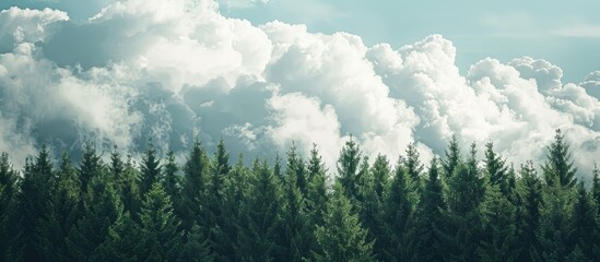 Wall Mural - Forest depicted in the sky with fluffy clouds providing copy space image