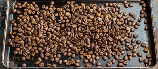 Aufkleber - Stock photo of raw coffee beans in a tray with copy space image