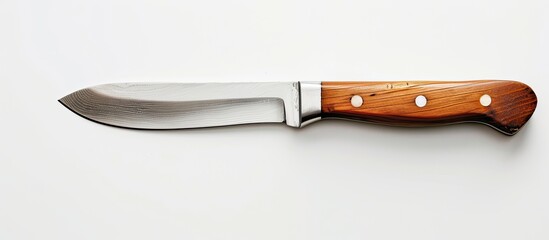 Poster - A knife with a wooden handle set against a blank white background providing ample copy space image