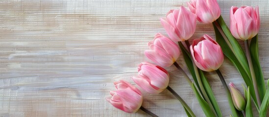 Aufkleber - Pink tulips arranged on a light plywood background with space for text or copy suitable as a postcard template featuring a copy space image