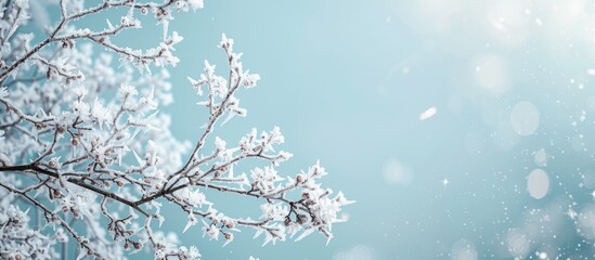 Aufkleber - Frosted branches with plenty of copy space on the background image
