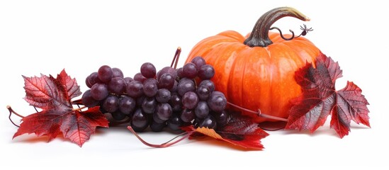 Aufkleber - Isolated on a white backdrop a vibrant composition of a pumpkin and red grape leaves creates an elegant copy space image