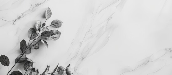 Aufkleber - A modern white marble background with a minimalist style perfect for showcasing interior decor or products with a blank copy space image