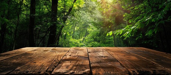 Poster - A wooden table with space for product placement against a lush green forest background providing a copy space image for advertising