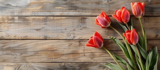 Poster - Tulips bloom in spring on a wooden backdrop representing gardening ideas with copy space image