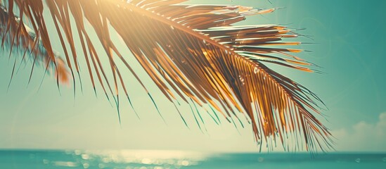 Poster - Vintage filter adds a retro touch to an abstract background of a sunlit palm leaf on a tropical beach perfect for summer vacation and travel concept Includes copy space image