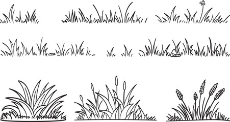 Grass doodle sketch style set. Hand drawn grass field outline scribble background. Sprout, flower, clover elements. Vector illustration.