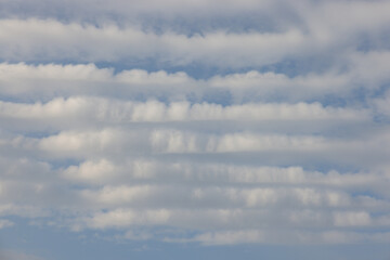 Wall Mural - The sky is blue with white clouds