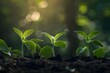 © Muzikitooo - New Life in the Garden