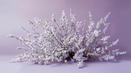 A bouquet of lavender flowers arranged beautifully against a purple background, capturing the essence of calmness and serenity.