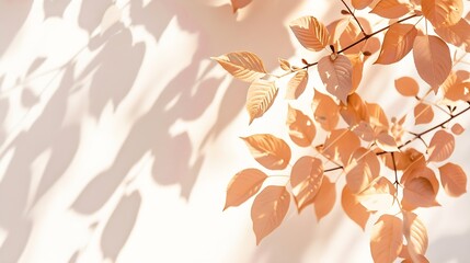 Poster - Abstract leaves shadow blurred background Natural leaves tree branch foliage pink rose gold diagonally shadows and sunlight on white wall in nature for background wallpaper and any des : Generative AI