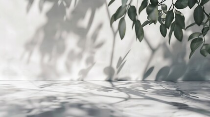 Aufkleber - Minimalistic light background with blurred foliage shadow on a light wall Beautiful background for presentation with with marble floor : Generative AI