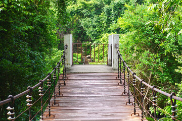 End of wooden footbridge and nature jungle.  Wooden walking swing bridge, Wooden pathway in tropical forest, suspension bridge across Tat Ton Waterfall at Tat Ton National Park, Chaiyaphum.