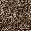 © Oksana - Leopard skin texture, wild cat animal design, furry print