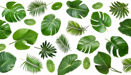 Wall Mural - tropical green leaves isolated on transparent background green seamless pattern png